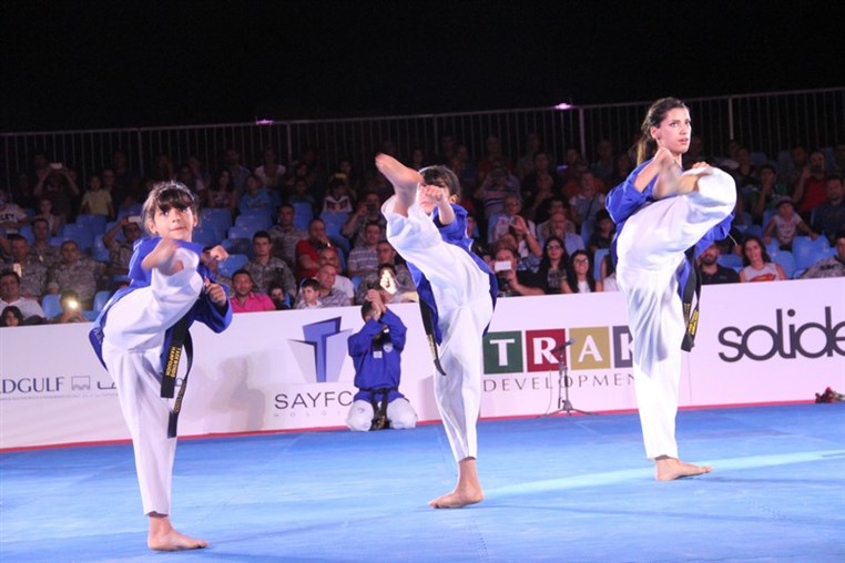 Martial Arts Festival